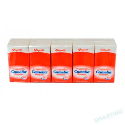 SERVETELE NAZALE CAMELIA