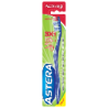 PERIUTA DE DINTI