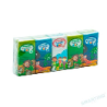 SERVETELE NAZALE CAMELIA